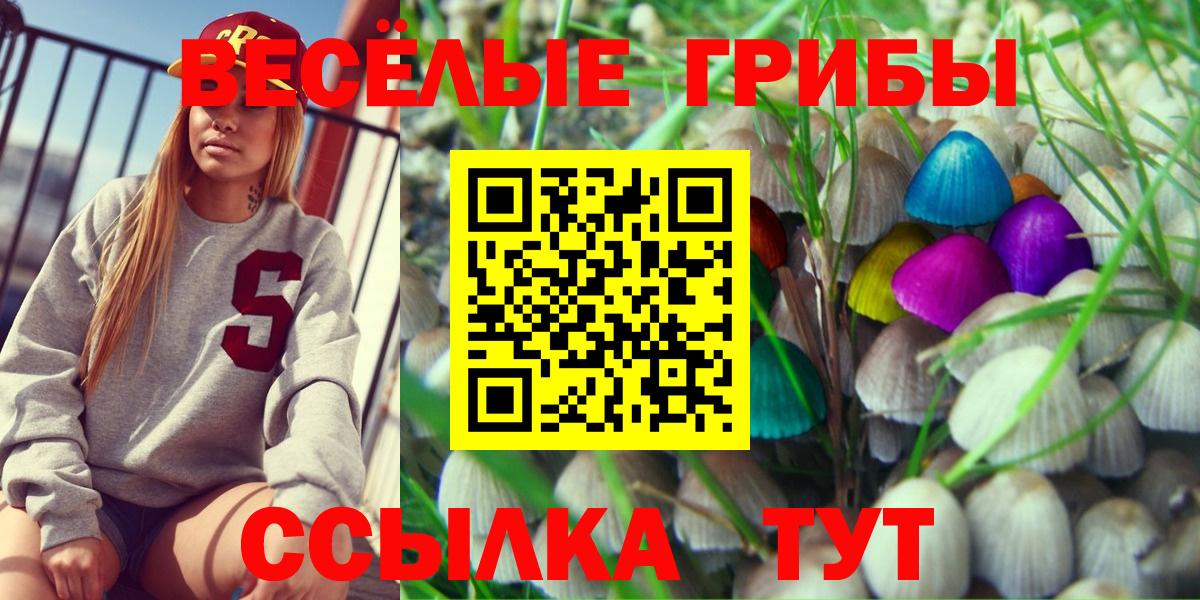 Псилоцибиновые грибы MAGIC MUSHROOMS Бутурлиновка