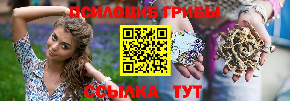 наркота  Вход с VPN  Галлюциногенные грибы прущие грибы  Бутурлиновка  Псилоцибиновые грибы MAGIC MUSHROOMS 